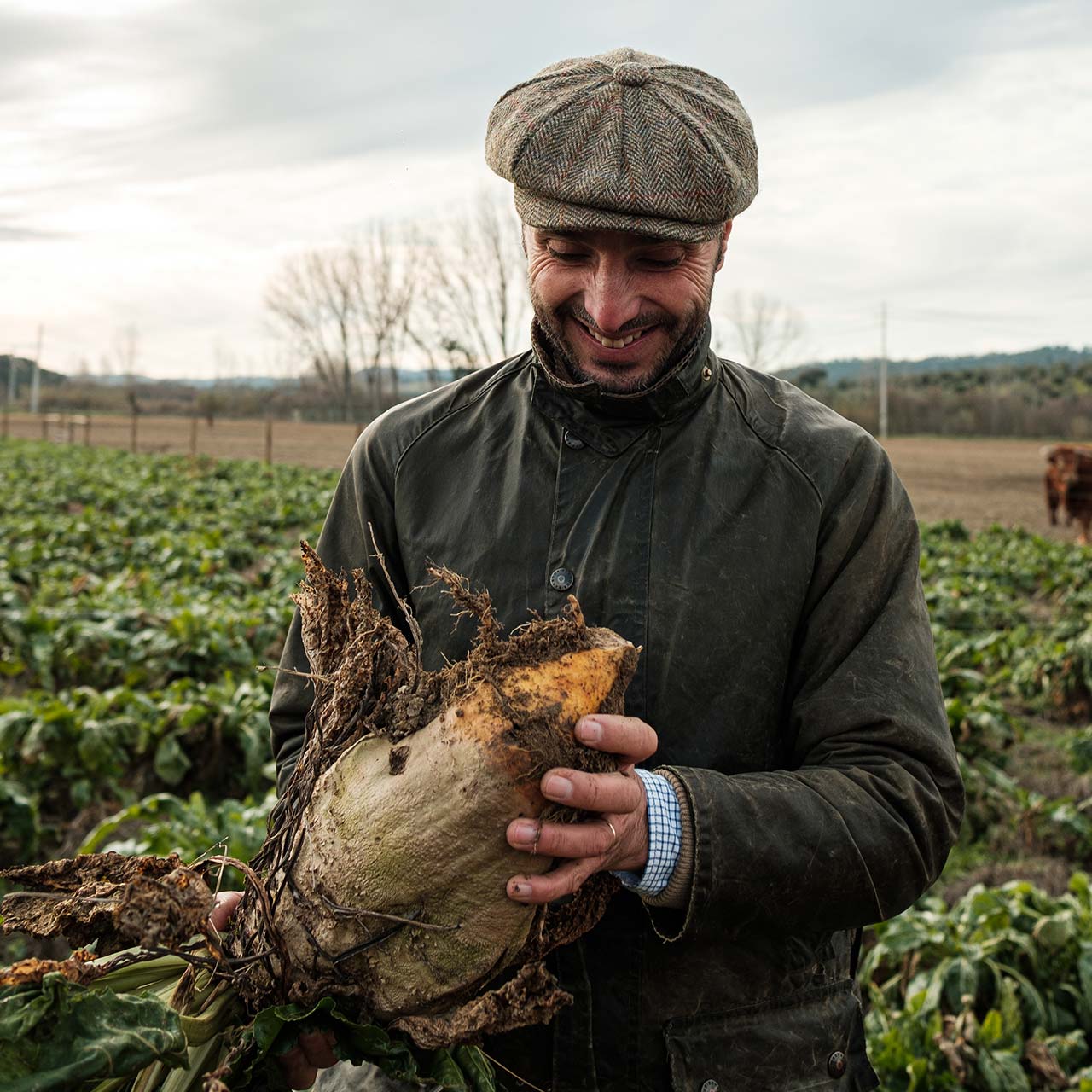 herdade-monte-silveira
