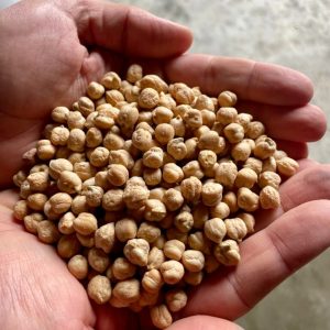 Grão-de-bico 750g | Monte Silveira